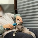 그루머스 스튜디오 이미지