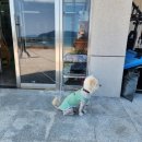 상족암오토캠핑장 이미지