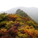 동천주유소 이미지