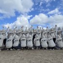 차의과학대학교 대학원 이미지