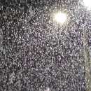 120-운정2-120 이미지