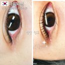 더 다듬 | 신림속눈썹펌 추천 다듬왁싱 예약 서울 속눈썹펌 잘하는곳