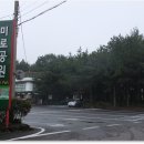 제주 동부권의 "우리나라 최초의 미로공원" 김녕미로공원을 소개합니다... 이미지