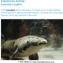 행복수족관 이미지