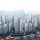 족 - 서구 | 족