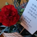 말바우표고버섯