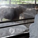 병건농장 이미지