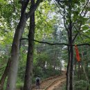 우면산6-13 이미지