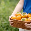 현수농장 이미지