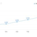 크리스챤디올꾸뛰르코리아(주) 티스토리
