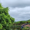 개나리낚시공원 이미지