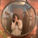 허브나무 이미지