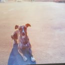 엔일공구 이미지