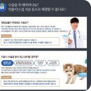 위즈펫동물병원 | 강아지 십자인대 파열 양측 슬개골까지 동시 수술