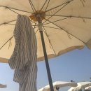 뮤즈아이 이미지