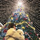 서교동천주교성당 | 겨울 사진 크리스마스 트리 사진으로 너무 멋진장소!