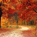 청룡당구장 이미지