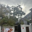 피닉스오리진 | 예쁜공간이 가득한 감성 카페 [피닉스 오리진 중산]/내돈내산 후기!