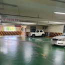 둔산중로-21 이미지