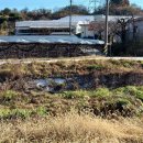 유창농장 이미지