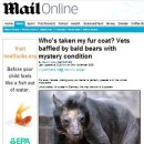 털이몽땅 이미지