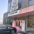 로제몽 | [고양애견카페 추천] 고양애견카페 로제몽 후기