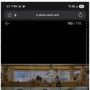 퍼피살롱 이미지