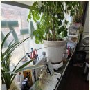 강남안마원 이미지