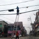 대륙공사