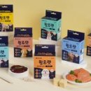 (주)더와이즈벳 이미지