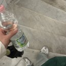 (주)레지오여행사 - 연수구 | 🇮🇹DAY3_토스카나투어