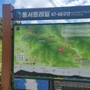 제 655회 (26년 09월 15일) 봉화 동서트레일 제48구간(도심3리마을회관~춘양면사무소) 산행 이미지
