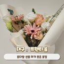 트웬티쏠