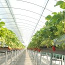 영신농장 이미지