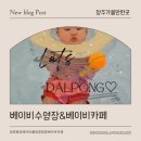 카페퐁당 | 청주 달콩퐁당 베이비수영장 달콩달콩 베이비카페 후기(내돈내산)
