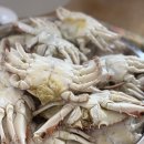 버터앤베이글 - 성남시 분당구 운중동 | 버터앤베이글