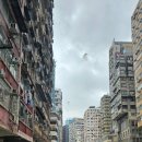 늦은 JUST US IN HONGKONG 후기 이미지