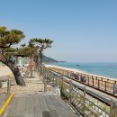 정동진역 이미지