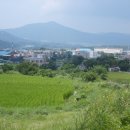 입실1리 이미지