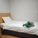 신천지 호텔 | 가성비 완벽한 제주 하버호텔 후기