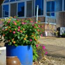 궁리 마을회관 이미지