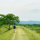 힘 안 들고 풍경은 최고 5060세대에게 추천하는 감성 길 걷기 여행지 이미지