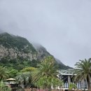 원앤온리 이미지