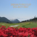 양산 동원로얄컨트리클럽 이미지