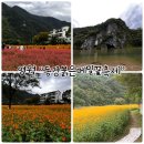 삼옥2리마을회관 | 영월갈만한곳 &#34;동강 붉은 메밀꽃축제&#34; 흐려도 좋았어요!