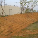 지앤지(G&G) 이미지