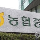 농협중앙회 이미지