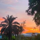 태국골프 그린월드 소식지 이미지