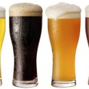 맥주세상 이미지