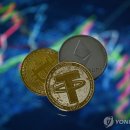 스테이블코인 날개다나…美상원서 &#39;지니어스&#39; 법안 통과 이미지